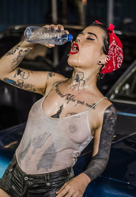 pitmagrinfree kostenlose perfekte bild