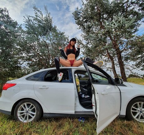 barbierivasok erwachsene freie fotos