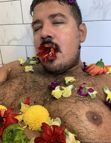 chub t hd freie galerie