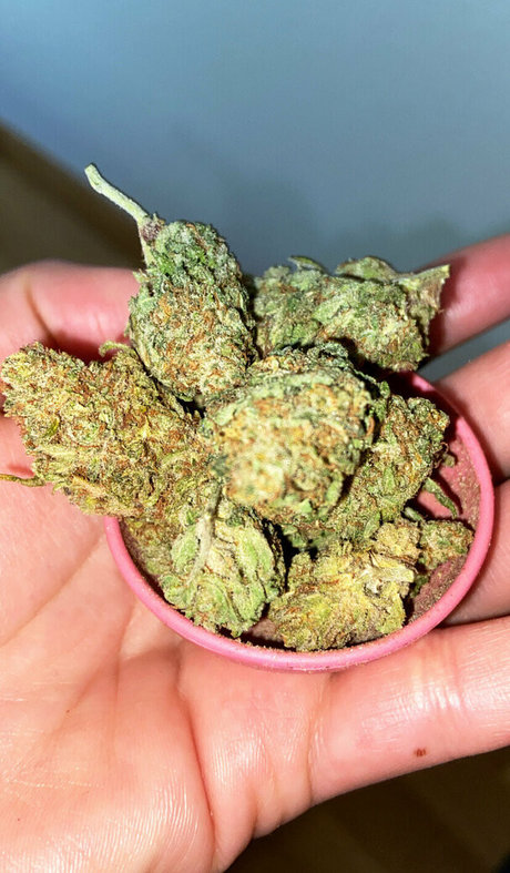 vtng br2 erwachsene pornografische galerie