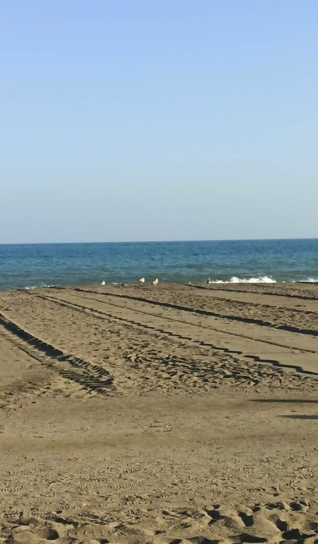 playwithkanna beste nackten bild