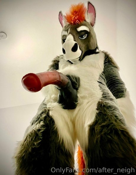 after neigh top freie galerie