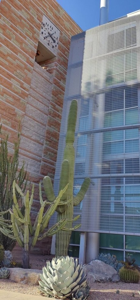 sinfullypurrfuct kunst nackt fotos