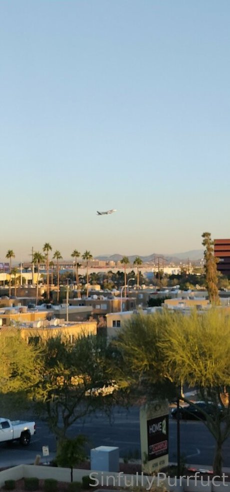 playmate-onlyfans schöne heiße galerien