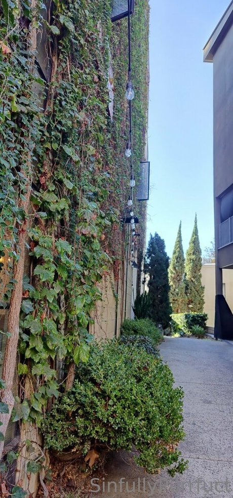 sinfullypurrfuct heiße hübsche foto