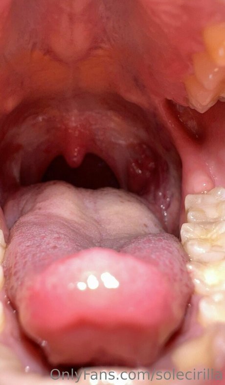 solecirilla Profilbild