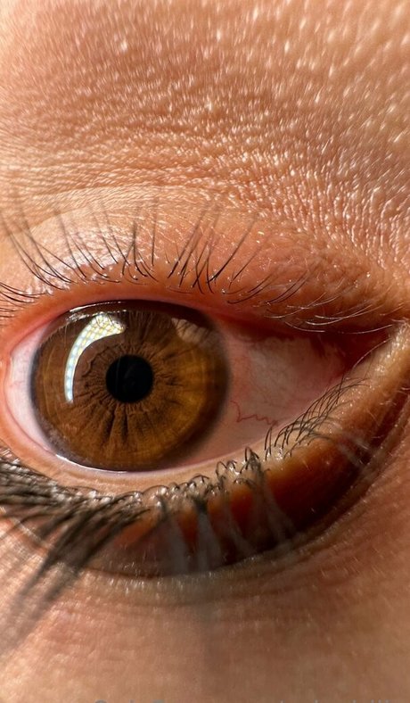 solecirilla schöne porno galerie