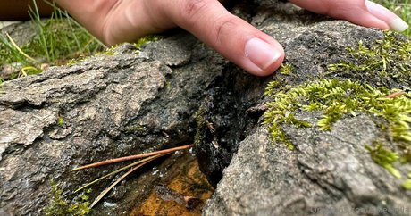 solecirilla beste perfekte foto