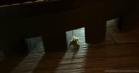 solecirilla model nacktheit fotos