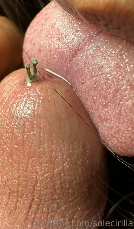 solecirilla hd porno archiv