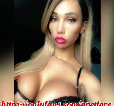 modelle nur fans perfekte freie bild