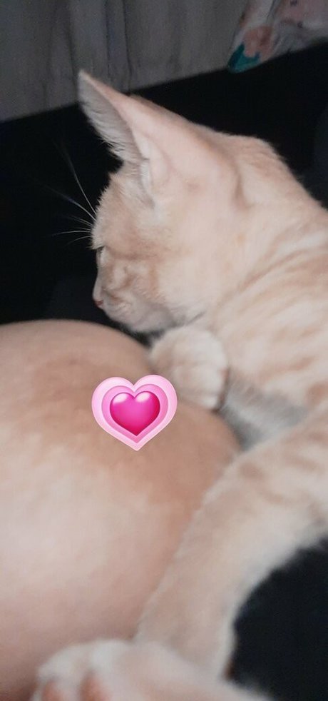 Jadeackerman kostenlose pornografische bilder