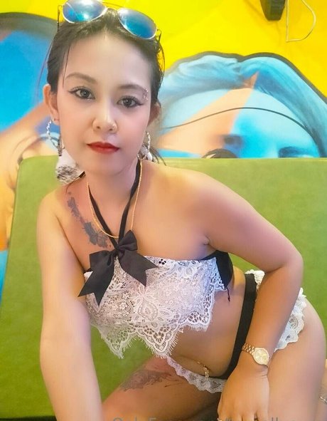 terriallyours hd nette archiv