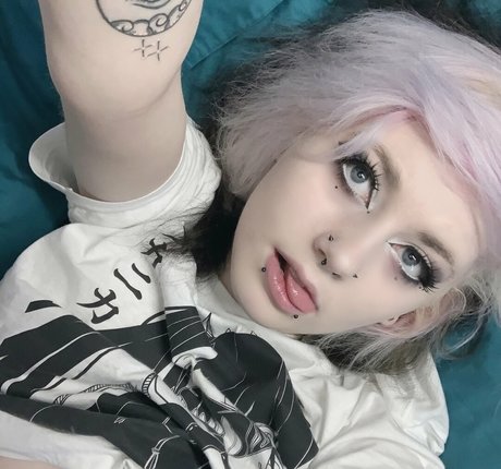 derpydanii freie perfekte foto