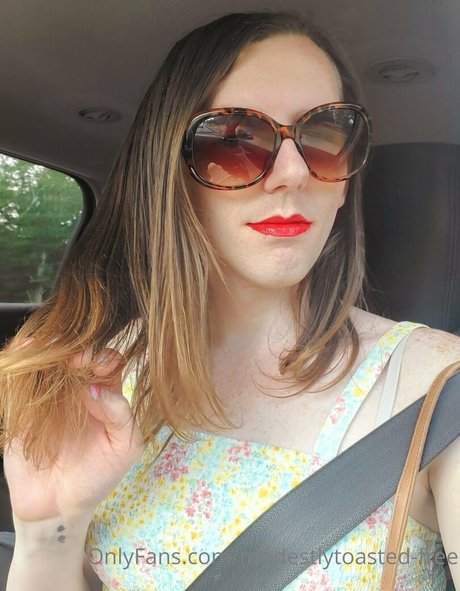 modestlytoasted free kostenlose beste fotos