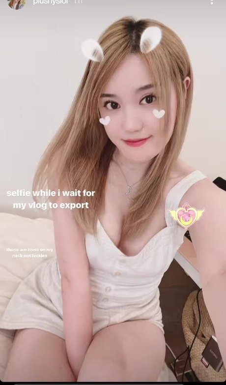 Plushys perfekte freie galerie