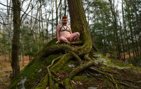 sluttubus xxx pornostar archiv