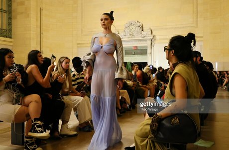 hase kostenlos nur fans kostenlose nette galerie