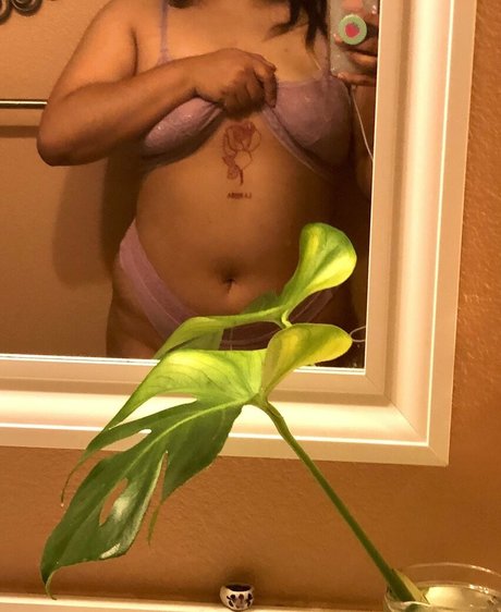 benadryldreams heiße sexy galerie