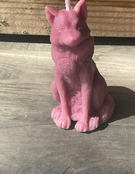 babymooshi xxx hübsche galerien