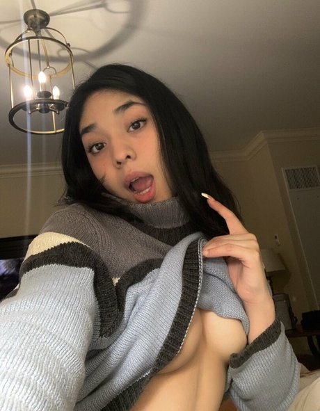 vashwty freie exklusive galerien