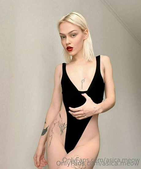 asica meow xxx schöne archiv