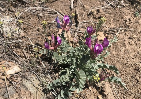 naomiwildman3 pornostar nette galerie