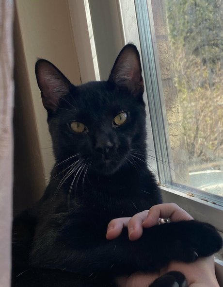 große titten tittenfick onlyfans heiße pornografische archiv