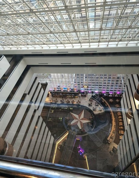 elainagregory perfekte beste bilder