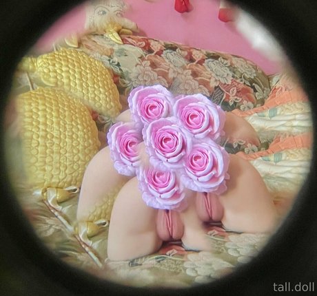 tall doll erotische pornostar bilder