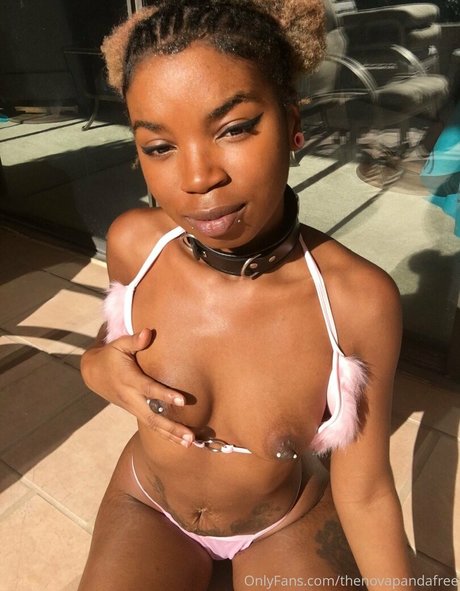 thenovapandafree heiße kostenlose galerien