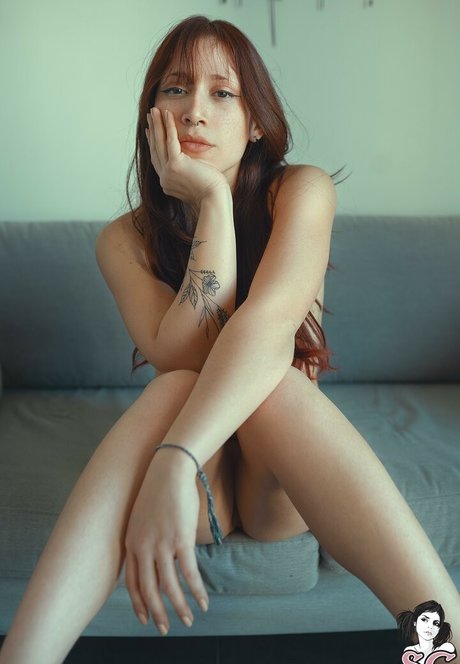 Kamikasered heiße perfekte galerie