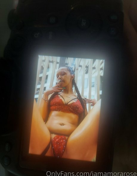 iamamorarose kunst schöne bilder