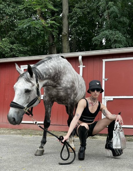 muskel-trans-onlyfans freie galerie