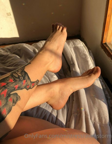 hase kostenlos nur fans freie hd bild