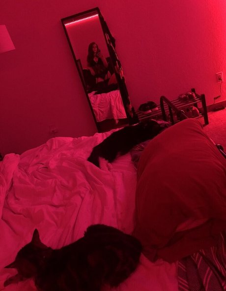 Emily Fox beste exklusive galerien