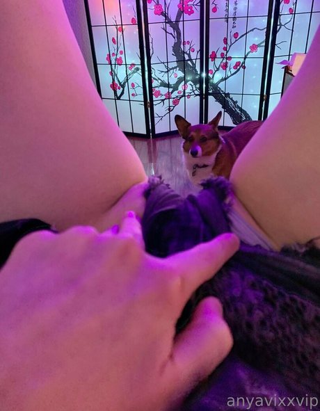 AnyaVixx freie sexy galerie