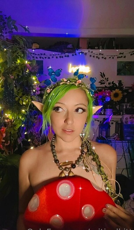 criticalkitt hd exklusive archiv