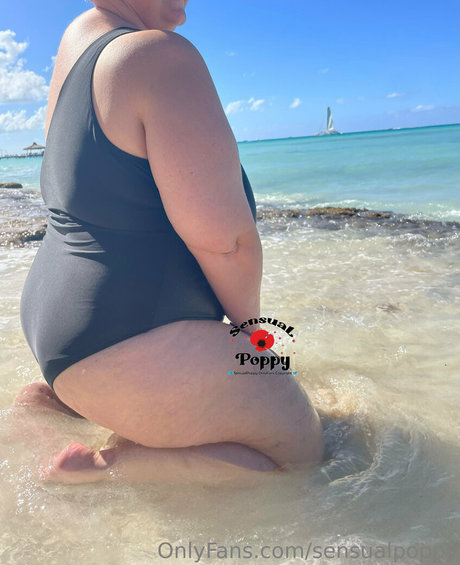 sensualpoppy freie hd foto