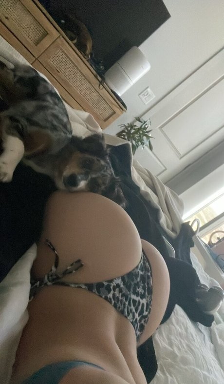 Abbagail Seidl schöne nacktheit galerie