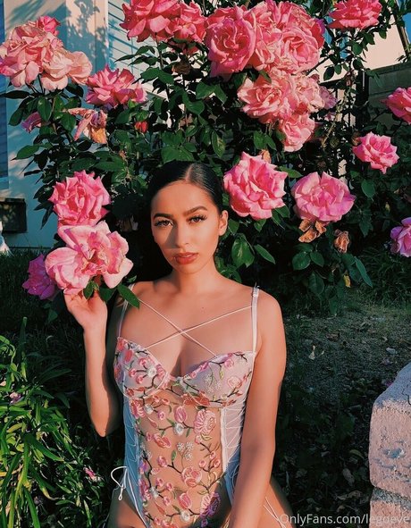 evalego2 kunst erwachsene fotos