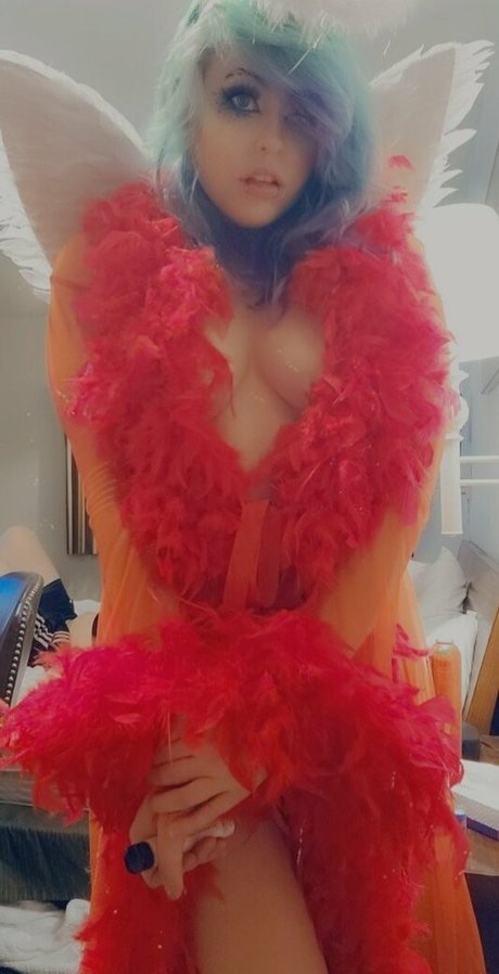 the merr cat perfekte freie bilder