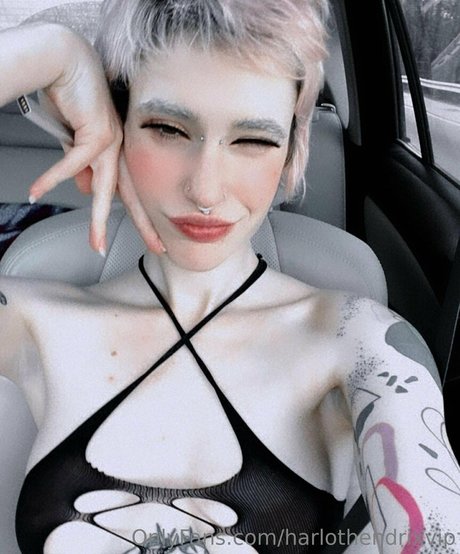 harlothendrixvip xxx kunst galerie