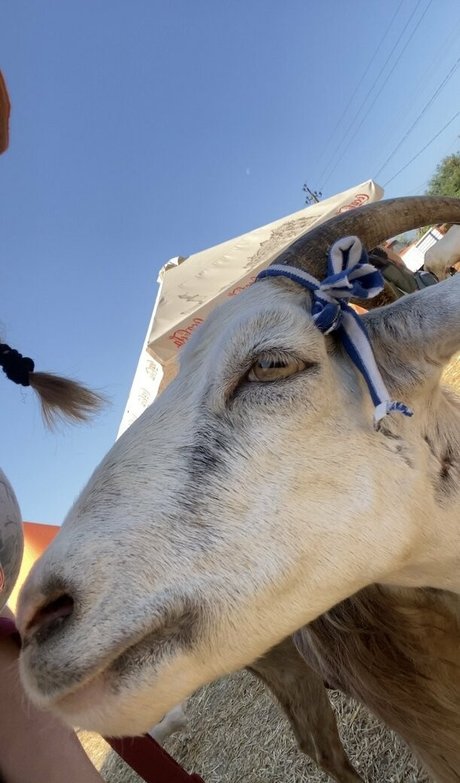 florence agapi porno nette foto