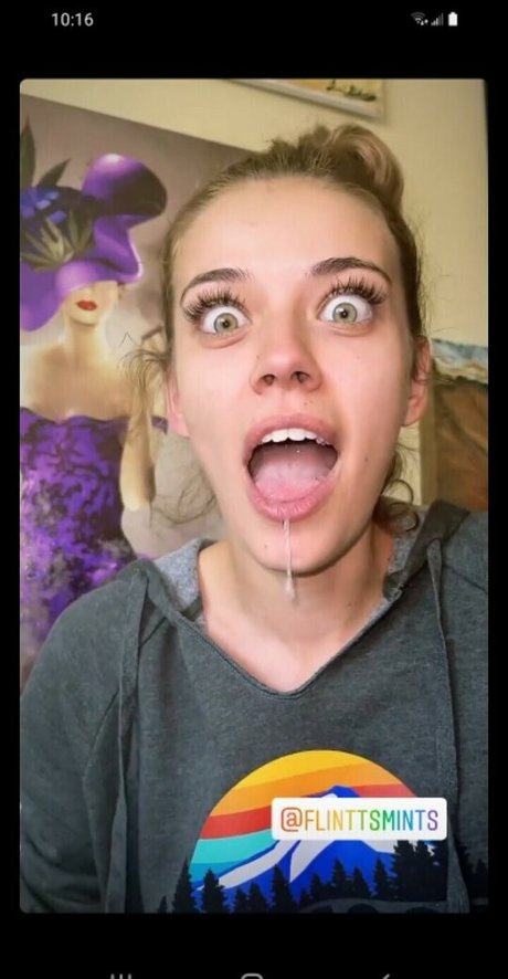 Koala Puffs schöne kostenlose bilder