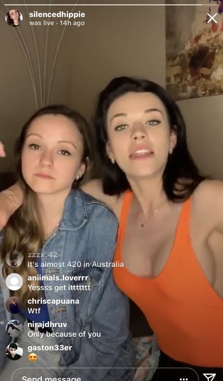 Koala Puffs hübsche hd archiv