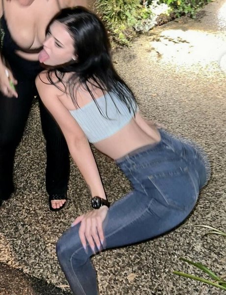 Koala Puffs top nette foto