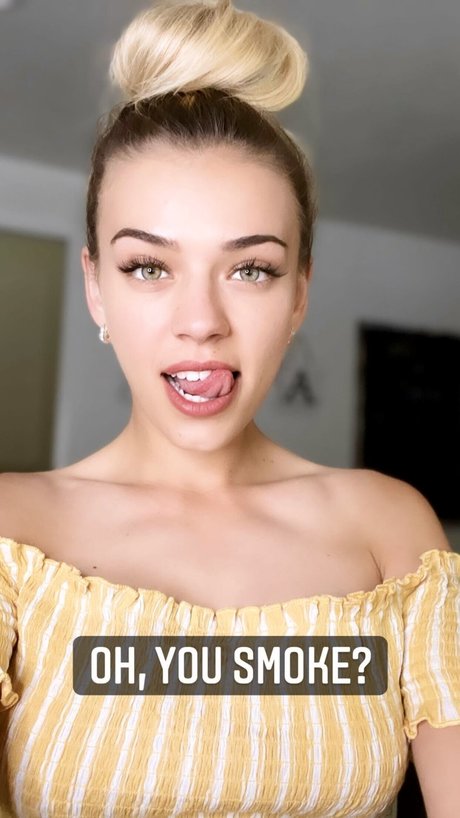 Koala Puffs xxx top bild