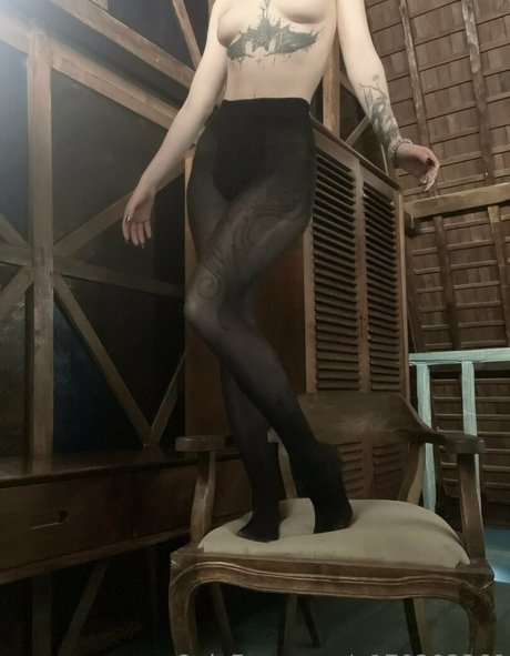 domtrickzz kunst pornographische bilder