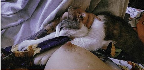 Hurona Rolera schauspielerin hd bild